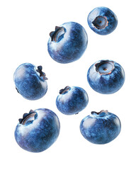Multiple blueberries in air closeup view isolated on transparent PNG
