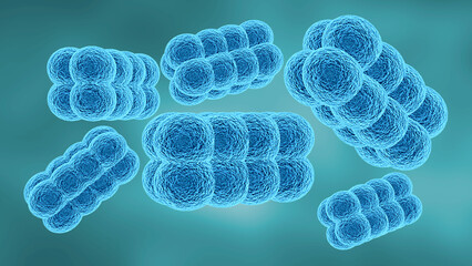 Kytococcus sedentarius is the main bacteria that causes a foot infection called keratolysis