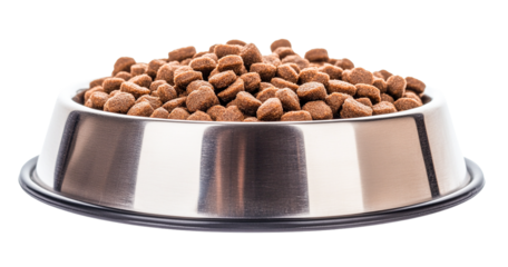 Stainless steel bowl filled with dry dog food isolated on transparent PNG