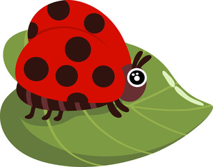 Hand drawn cartoon ladybug illustration