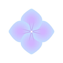 青と紫のグラデーションが美しいアジサイの萼のシンプルなイラスト