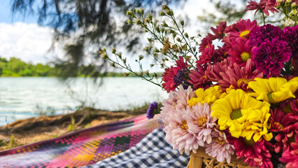 one basket of red, pink, yellow and purple daisies nature background. Asters are a genus of...