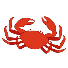 Seafood Illustration