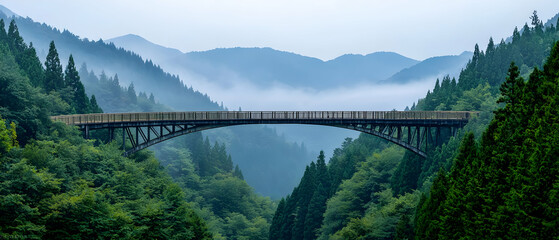 Obraz premium Misty Valley Bridge With People Walking Through Forest