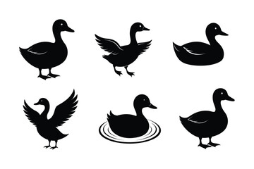 Obraz premium Duck vector silhouette, Set of Duck silhouette vector 