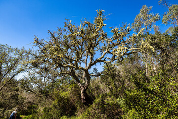 Walking from Troviscais to the River Mira, Vicentine Coast Natural Park Portugal, Rota Vicentina Coast.