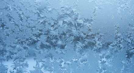 Obraz premium Ice Crystal Formation on Window Glass in Winter