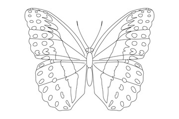 vector realistic butterfly. Cartoon black and white clip art isolated on transparent background. Hand drown design element.