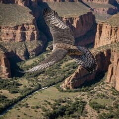"A peregrine falcon soaring high above a canyon, wings stretched wide and eyes locked on prey below, with cliffs and sky in the background."