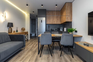 Open-Plan Studio Living and Kitchen Space