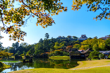 紅葉真っ盛りの玄宮園から望む彦根城