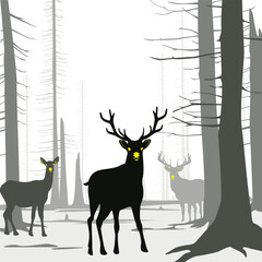 Vector Deers in winter forest landscape illustration drawing