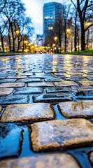 Reflective Cobblestone Pathway in Urban Setting at Dusk