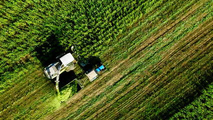 Aerial view of harvester loading off corn on trailers in summer day.  Large tractor is pulling a large grain silo is in the middle of a field of corn. 