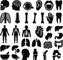 Flat black and white color anatomy of the body silhouette isolated on white background 