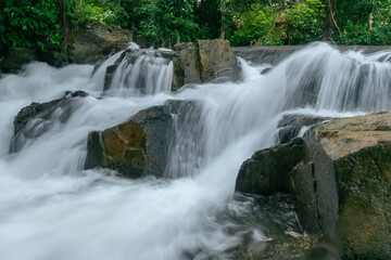 River in tropical forest