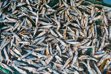 heap of sun dried fish drying in the sun in Vietnam