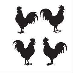 silhouette rooster