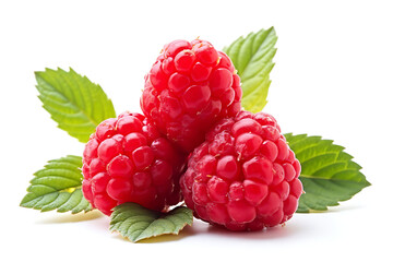 Three red raspberries on a leaf. The raspberries are ripe and ready to be eaten