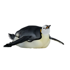 Naklejka premium Emperor penguin chick lying on belly cute wildlife