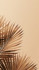 Fototapeta premium Palm leaves outdoors nature plant.