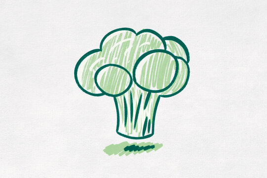 Illustration of a green broccoli on a white background