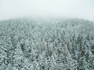 Scenic winter view of snowy mountains and trees