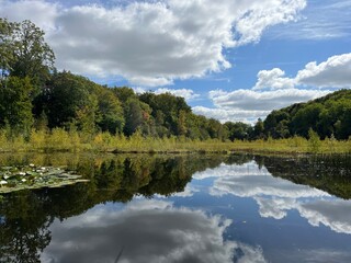 Obraz premium reflection of trees and clouds in water in the lake in the forest