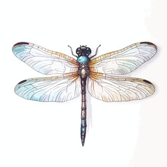 Vibrant Watercolor Illustration of a Majestic Dragonfly