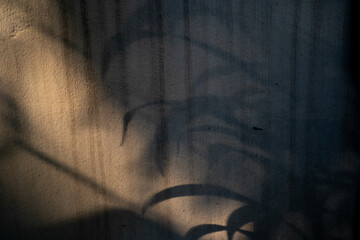 Abstract shadows creating patterns on a textured wall surface.