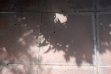 Intricate shadows cast on tiled floor.
