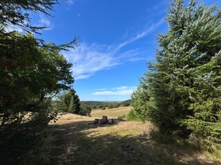 resting place in the forest