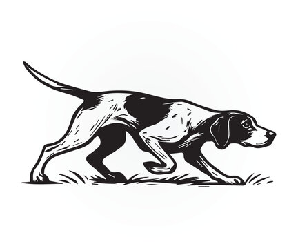 pointer dog graphic design, duck hunting pointer dog vector illustration art