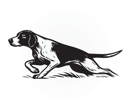 pointer dog graphic design, duck hunting pointer dog vector illustration art