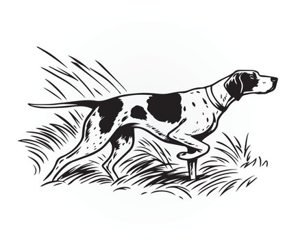 pointer dog graphic design, duck hunting pointer dog vector illustration art
