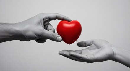 Fototapeta premium Heart Transfer Giving Love Charity with monochrome background.