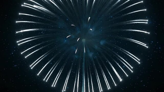 Night Sky Fireworks Spectacle