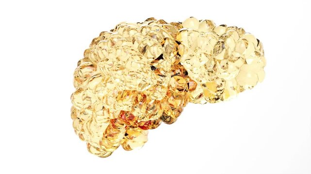 Cirrhosis liver fat cancer human health able to loop endless 4k