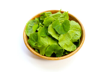 Gotu kola, fresh green leaves