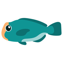 Sea Animal Illustration