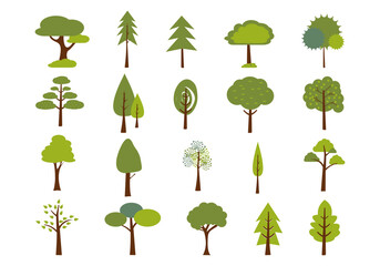 Fototapeta premium Nature Tree Illustration Element