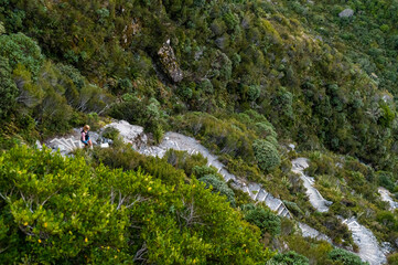 Meuller Hut Tramp