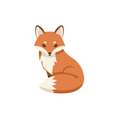 Simple cartoon illustration of a fox in orange, white, and brown colors on a white background