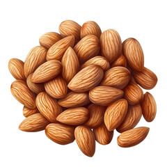 Fototapeta premium almonds isolated on white and transparent background.