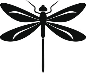 dragonfly vector illustration