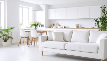 Fototapeta premium sofa in studio apartment. Scandinavian home interior design of modern living room and kitchen 