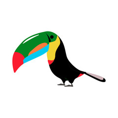 Cute toucan. Funny tropical bird with long beak. Exotic animal character. Colorful flat cartoon vector illustration isolated on white background