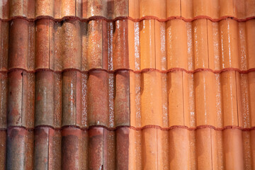 comparison roof top before and after cleaning moss lichen with industrial high pressure water cleaner tiles