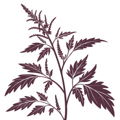 black  and white goosefoot