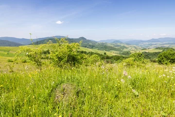 rural fields with meadows and forested hills. village in the valley. alpine countryside landscape in summer with mountain range in the distance. sunny forenoon weather with fluffy clouds on sky